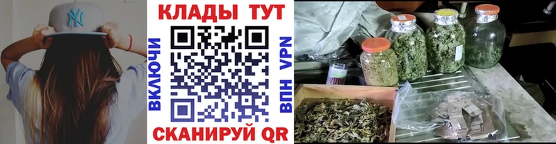 Где купить наркотики Курлово Галлюциногенные грибы СОЛЬ Меф мяу мяу COCAIN hydra ТОР Каннабис