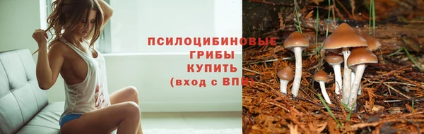 наркотики Беломорск