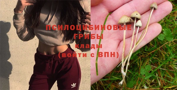наркотики Беломорск